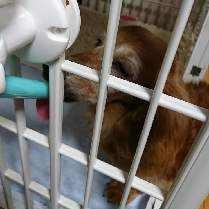 88fe40ff b628 4e8f ab93 8276b8a64ca7