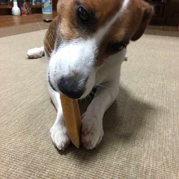 88fe8183 ed76 4f14 8ed0 6ca0fb94b31b