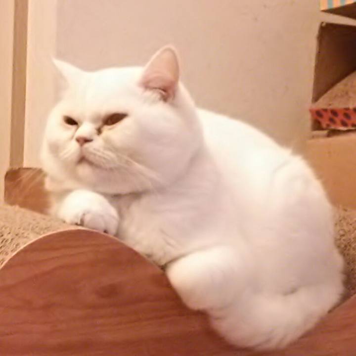 88fed0d2 f47e 4d31 9f6f b4125570d224