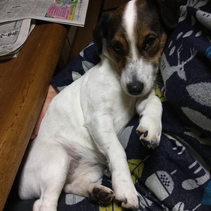 88ffca4c 5bfa 4be7 bf5e 52de74daf3b5