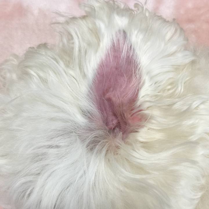 8900305e b8e2 4940 98ce 5b627f1f758e