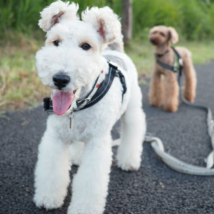 89005734 2011 428b ac63 62add1050d7b