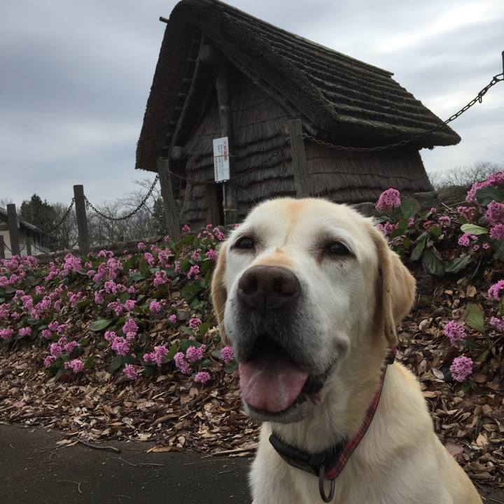 8901b255 3e1a 47eb 954c 4630428aeccc