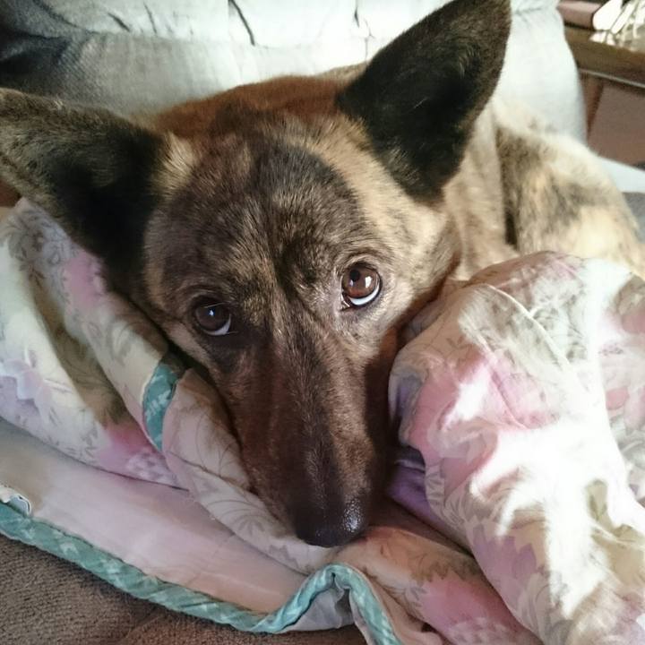 8901f15e b24d 4b69 94a9 56d9d714fdc6