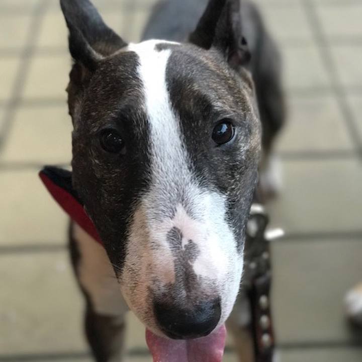 89026e21 1609 4a3d af8e 720b3928e9e7