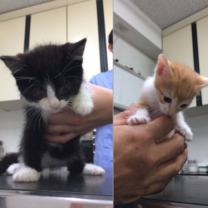 890277e7 dfac 4620 8727 4bb36bfcfe54