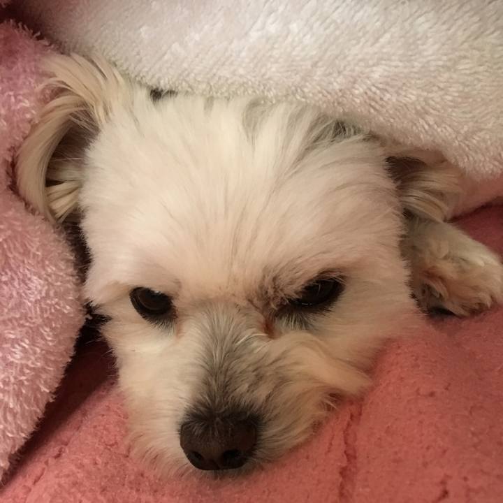 8902adfe b7c2 47dc a897 6e2d15c6c394