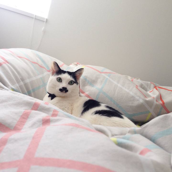 8902ea79 93c5 46b6 9e27 e729cf5b86a9