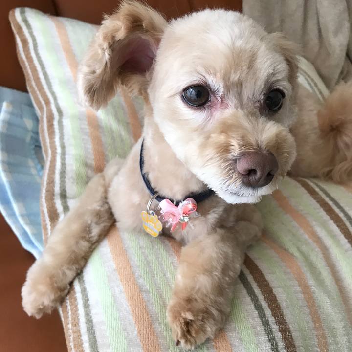 89035957 7aec 4c46 904a 67f57ad3357f