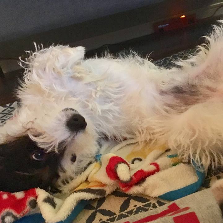 890383a8 459c 4ba7 8755 92c7ba74a162