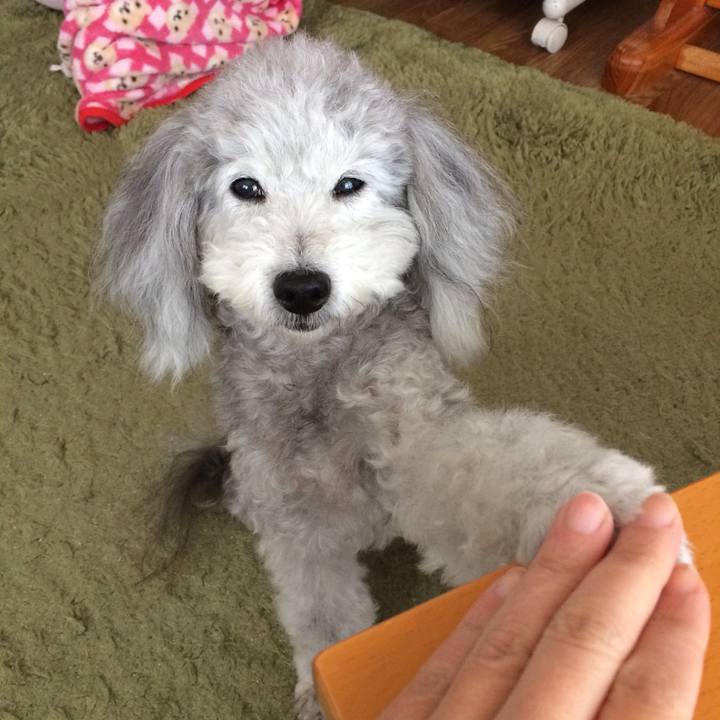 8903fc45 6070 415f a8df 85be9ee0ea12