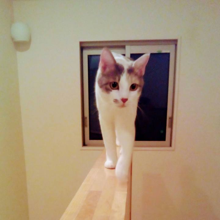 8904d6a7 2d6a 46d2 a4aa d3c43241da2f