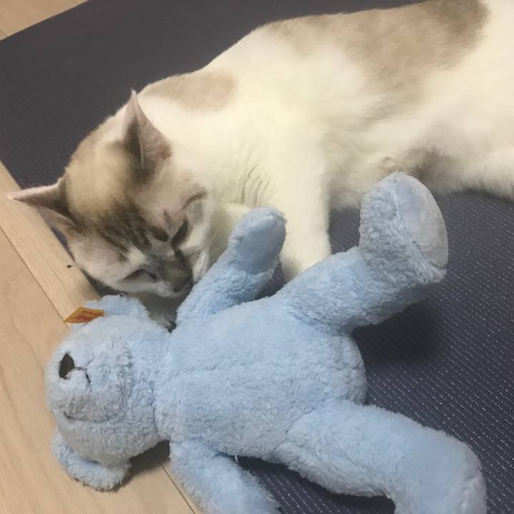 8904e63b 9ee2 4f72 9de6 9c3f0fd43a4d