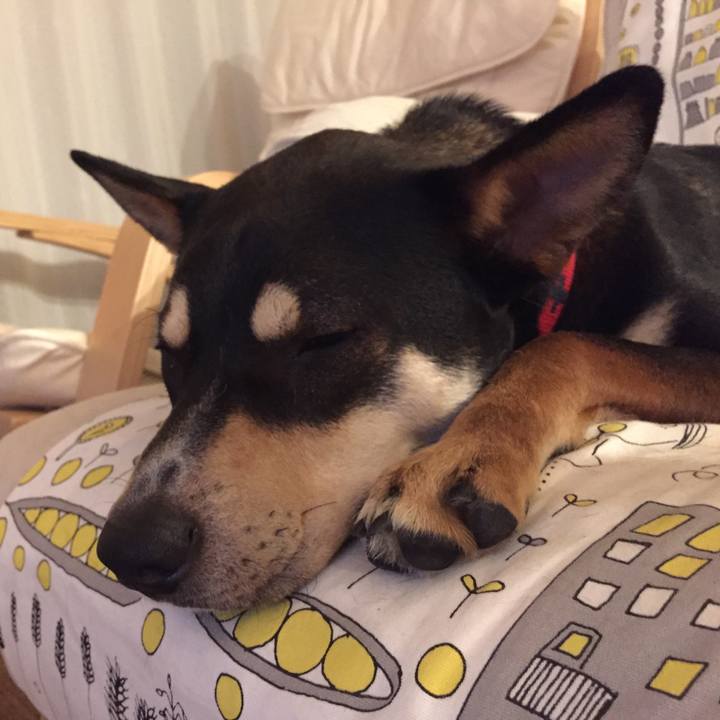 890504cb 15af 4073 8258 b6d2b4b67747