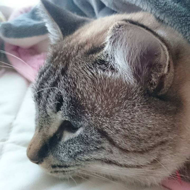 89063177 693b 4384 a9fa 0fcf680c96d8