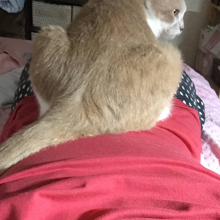 89071155 b593 4521 a016 8553d6efe19c