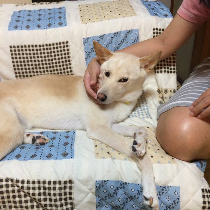 89082dbe 3026 4608 8700 02bec5186b4b