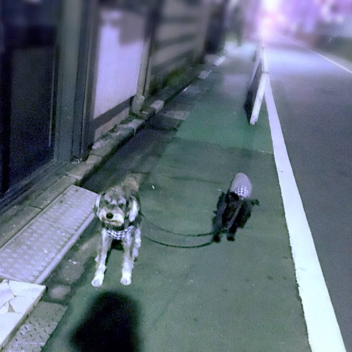 89088a67 eea6 4223 b3a0 6297a2594ced