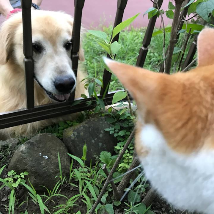 89089303 e282 408d 82b0 d657844166ef