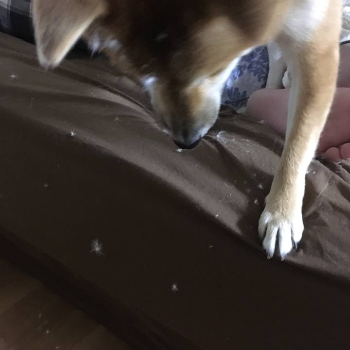 8908d1f4 bbe3 46fe b784 42caa232f78a