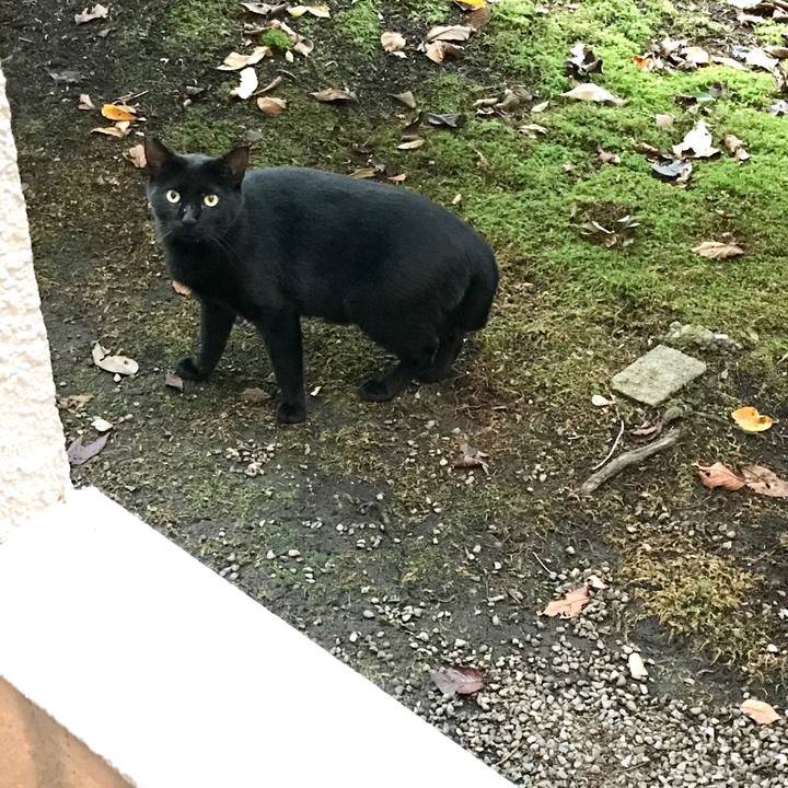 8908fbbe 67ba 4dd1 be3e 3f00f1d28e8f