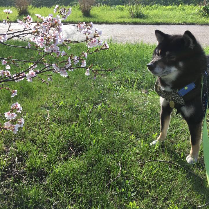 890941f8 95b0 47f9 b3ed 3c1d0ef52b8f