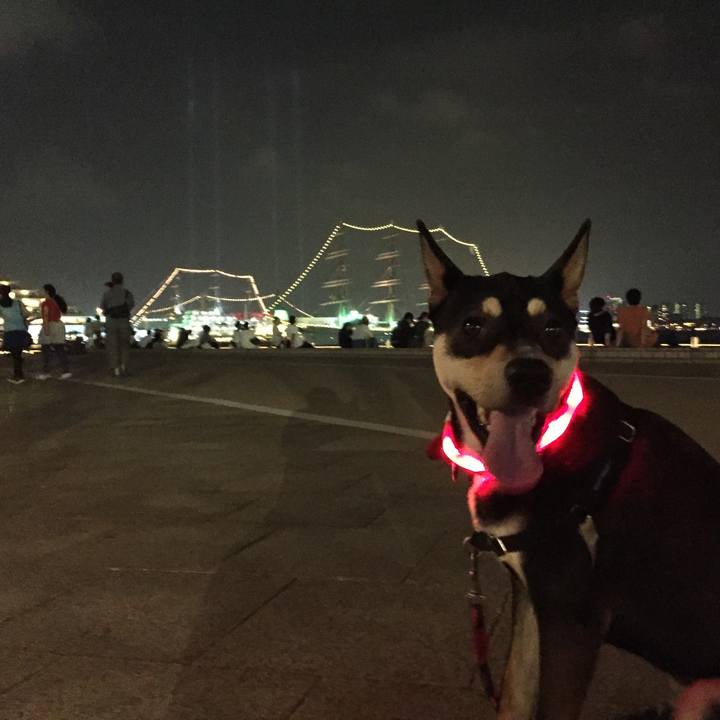 8909daff 5cff 4318 ad67 2df91c39fe21