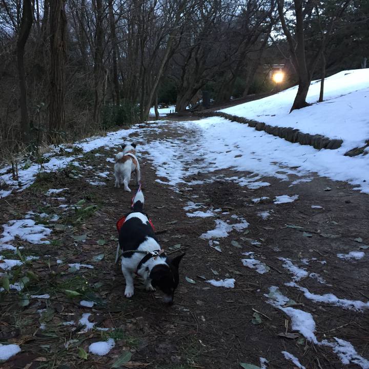 890a231f 3e04 4dfe b541 d880a760fdb5