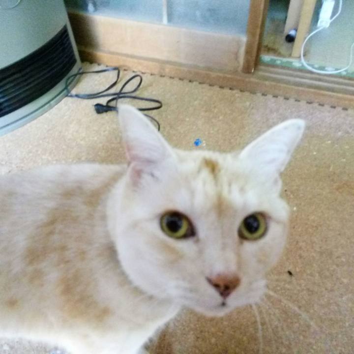 890ac64a 9c05 45a7 9499 ca7f64c2c1ea