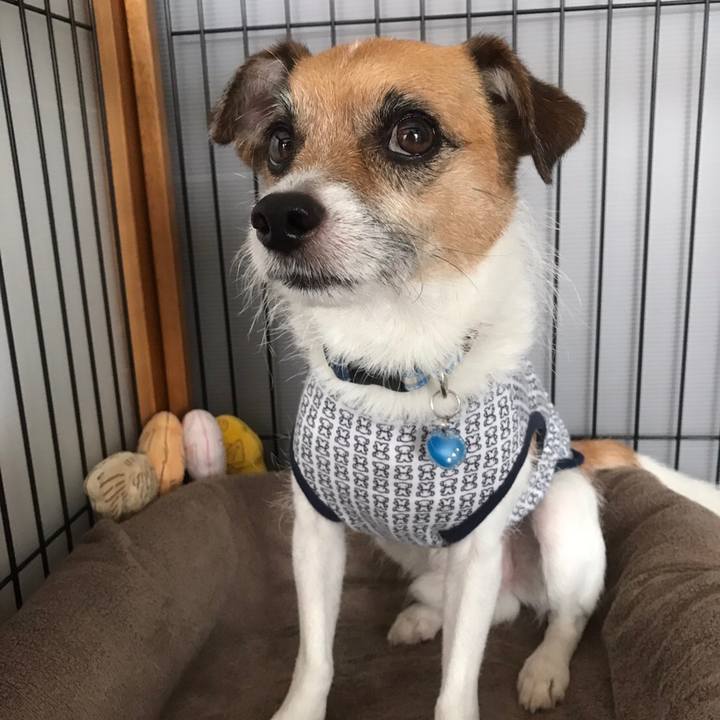 890addae f1bb 483b 9e8d c91cf290a949