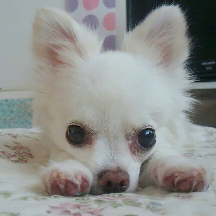 890b098c 7526 428a 89f3 898cc79487d7