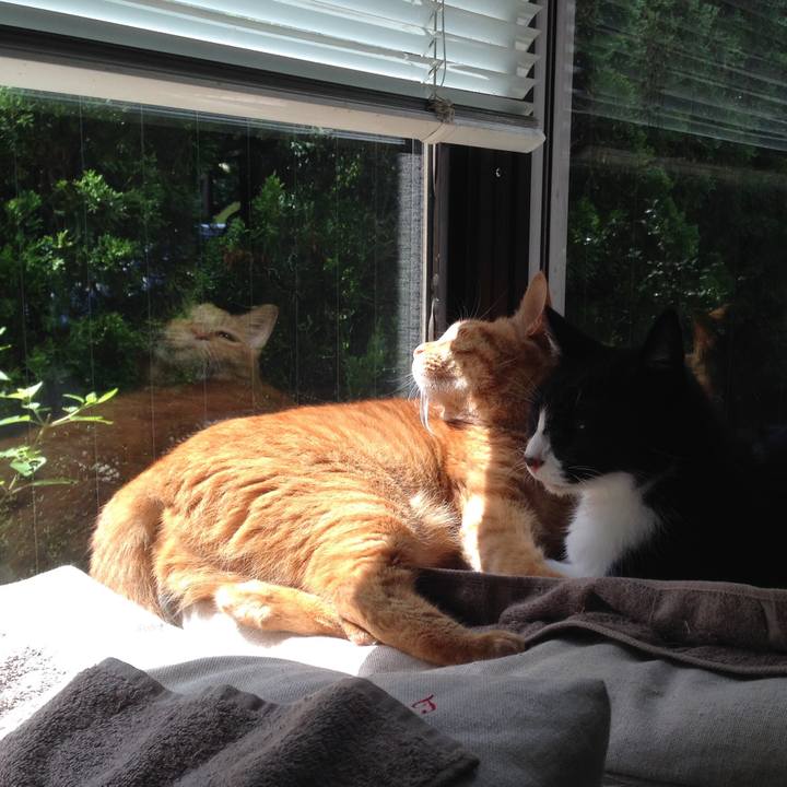 890b17a1 f644 4a02 8c61 02d2c59274ab