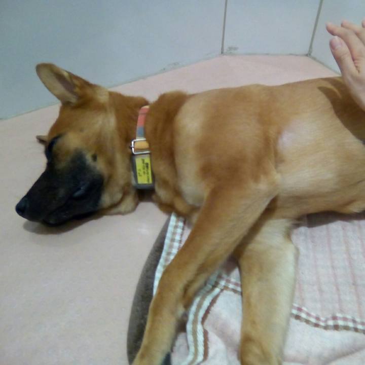 890b64de e3f6 4a21 b9a9 c85bf22c7fa5