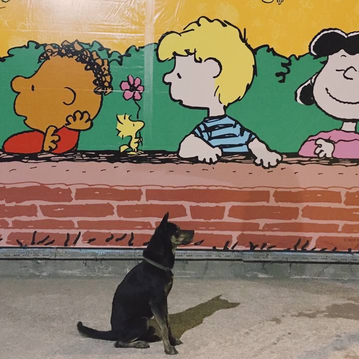 890b9040 bd36 4d47 9844 b0382b00bbaf