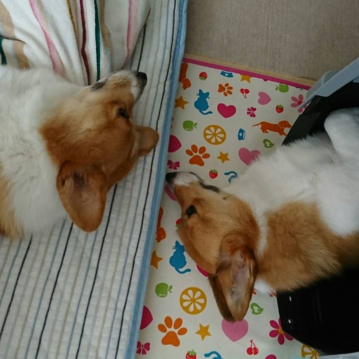 890c847b 2192 4372 b82d f37c31cd98c5