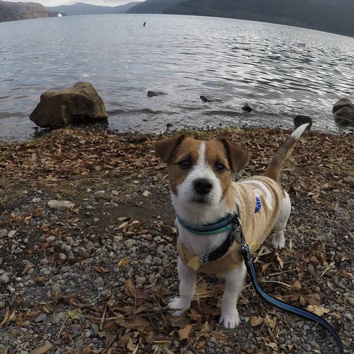 890d4834 a057 40e7 b595 a4bbb4d9ee0b