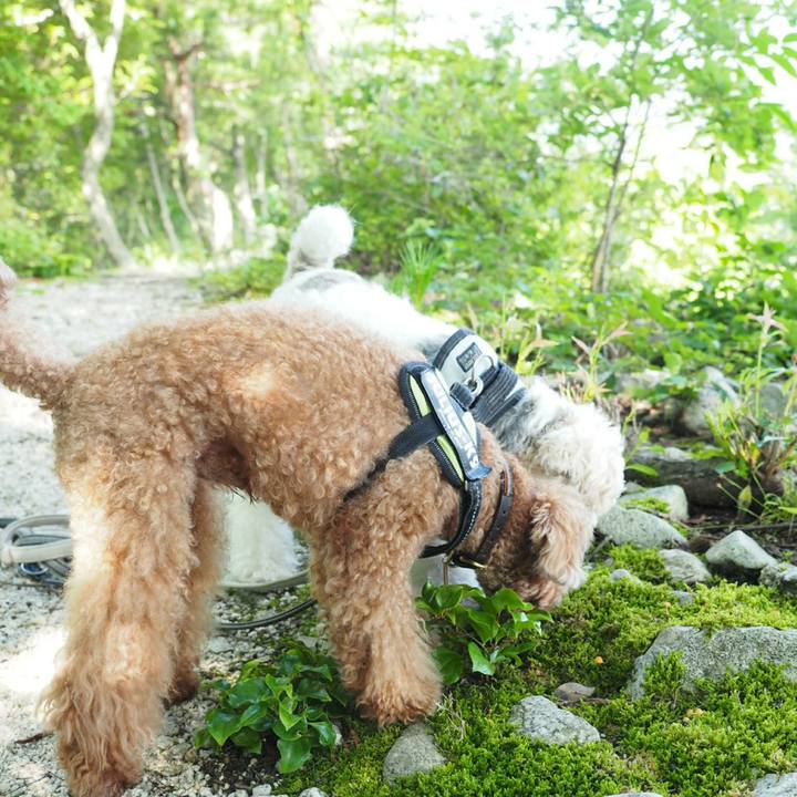 890d8c5d 24af 4521 b9f0 f8f27675fbde