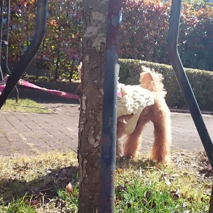 890dcccb 53cb 44fe 95f9 f4080fd0d9b3