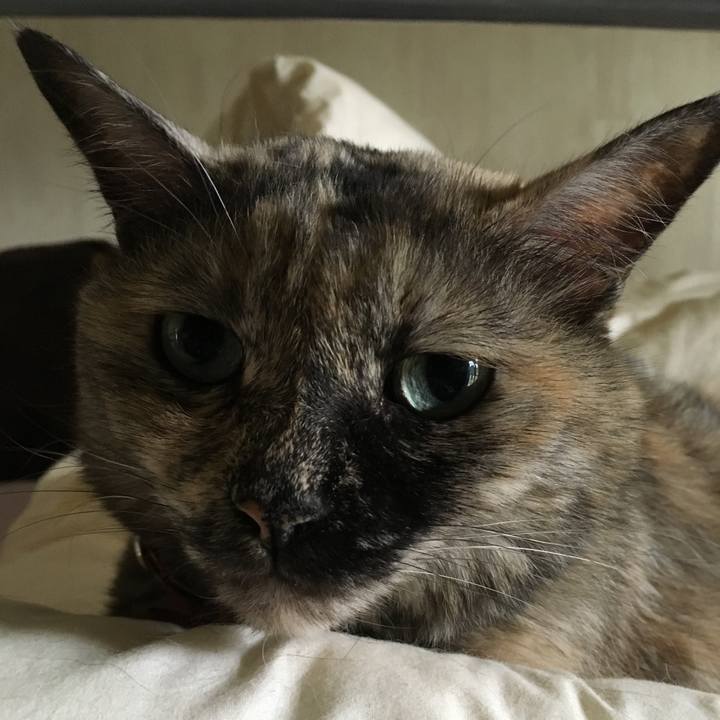 890dff31 9c01 4e05 a469 32a536db8f9c