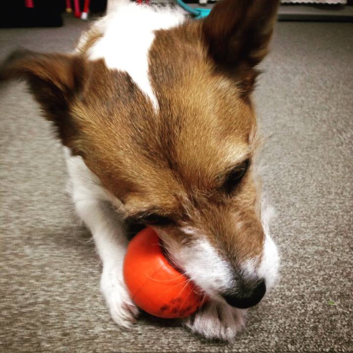 890e0295 32d7 4b8a 89fb 2c51767be648