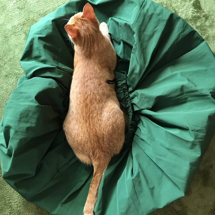 890e8dc5 5f6c 4c15 a8c0 9b72989d6c79