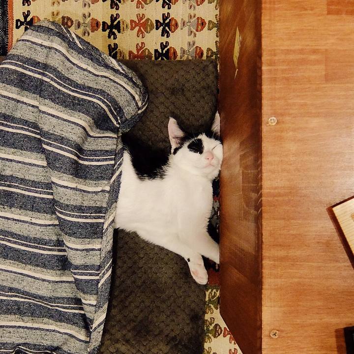 890ea61d b2b3 4ee4 be21 622bd8db8d5a