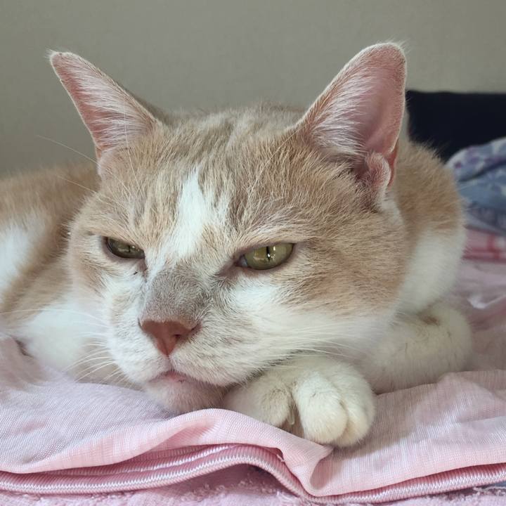 890ec8d2 5fae 4b28 93cf d8468f98587f