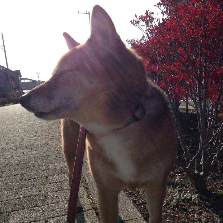 890ed4a3 c33e 4166 aa84 9498e4312ffb