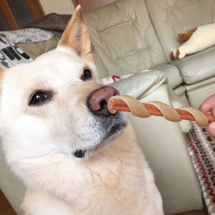 890f1855 b17c 4e50 9899 9713a4c67dd0