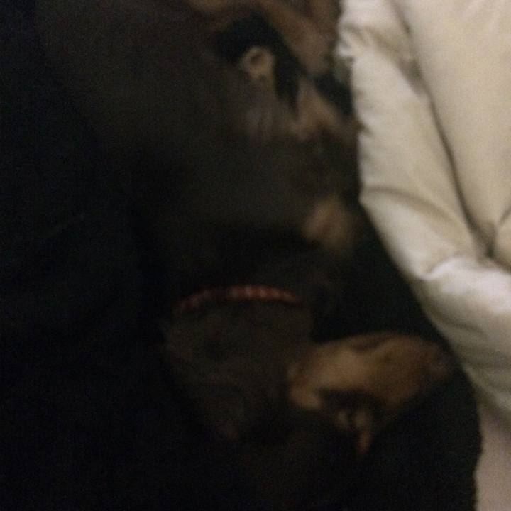 890f436a 01c0 4f30 9987 8791bbc3ac46