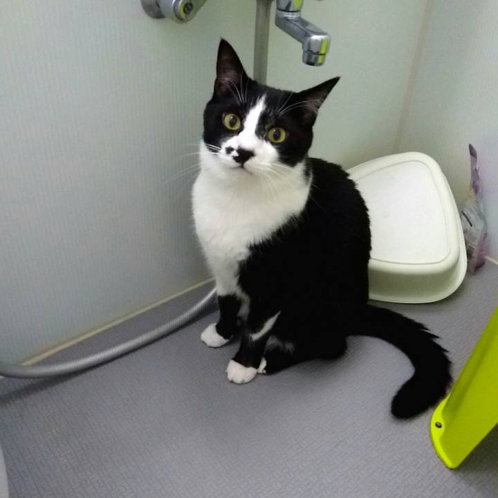 890f5e79 c16c 42f5 821c 089b58034344