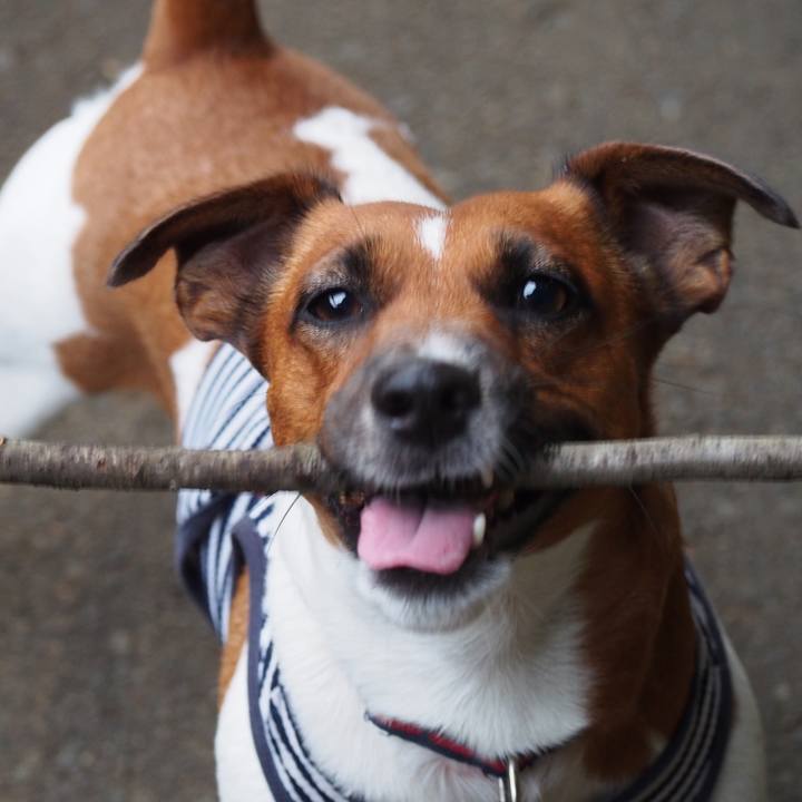 890fd905 58d1 48c4 b056 bcdb631ed1dd