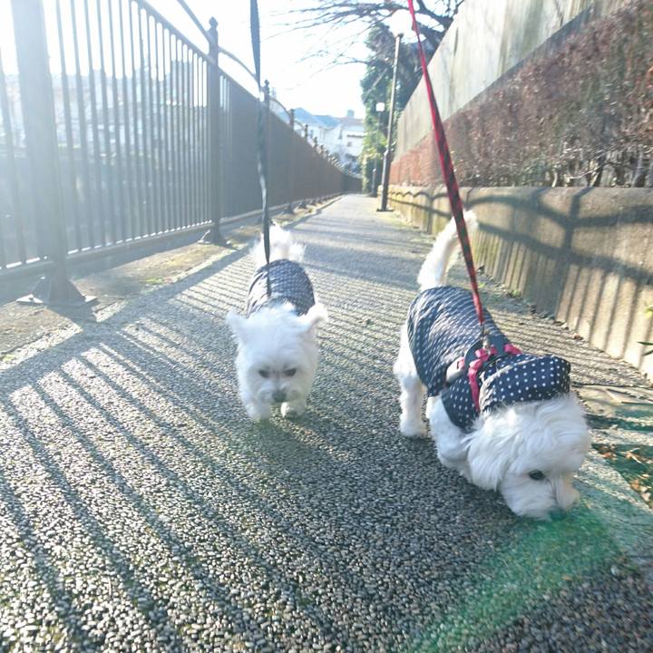 890fdc38 8338 4c8b 9ee5 5fc94a1ee3bc