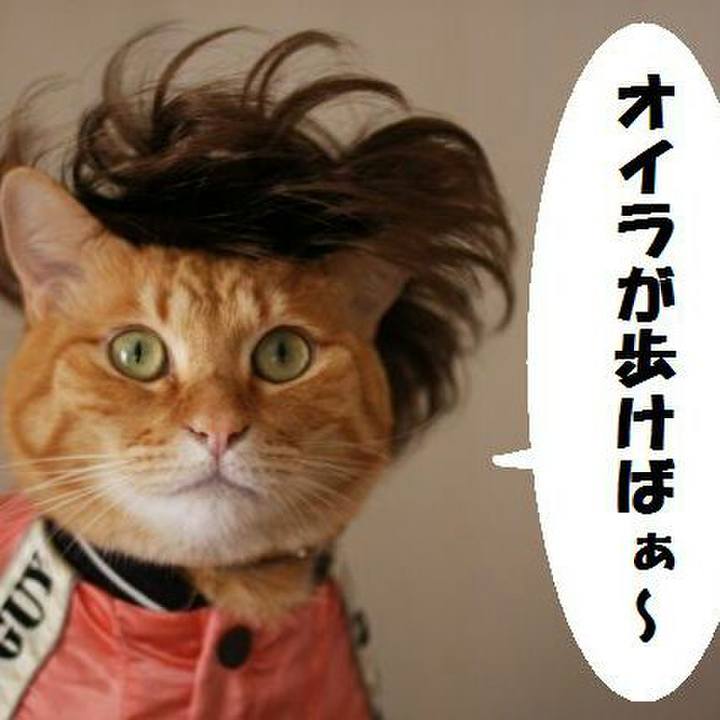 890fe625 7134 4d89 8138 34748ffa2e59